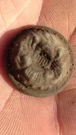 ImageUploadedByTreasureNet.com1557067010.177306.webp