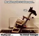 27-me-while-my-life-is-falling-apart-funny-meme.webp 27-me-while-my-life-is-falling-apart-funny-meme.webp