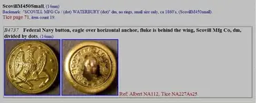 anchor flute tucked under wing 1860.webp