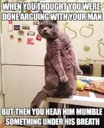 funny-marriage-memes34-5bbcb9823fc4d__700.webp funny-marriage-memes34-5bbcb9823fc4d__700.webp