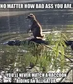 Top-20-Funny-Memes-about-Life-So-True-6.webp Top-20-Funny-Memes-about-Life-So-True-6.webp