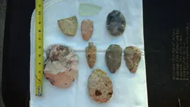 20190426_194619.webp