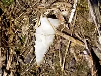 20190515_132556.webp