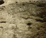 rockmap one.webp
