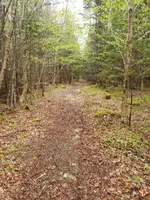 20190602_110801.webp