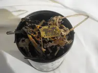 DSCF1041.webp