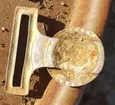 buckle back horn.webp