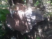20190504_095934.webp 20190504_095934.webp