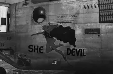 She_DevilLR.webp