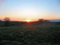IMG_0030.webp IMG_0030.webp