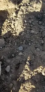20190515_181151.webp