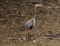 DSCN0997.webp