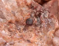garnet maybe.webp