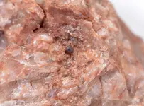 garnet maybe2.webp