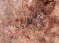 garnet maybe6.webp