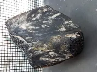 20190630_104024.webp