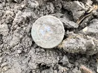 token4.webp