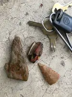 ImageUploadedByTreasureNet.com1561068383.107476.webp