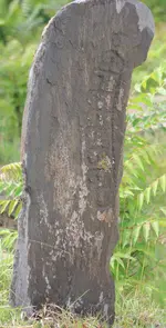 20190515_001308.webp