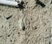 IMG_20190620_184611.webp