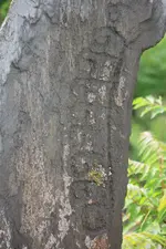 20190515_001245.webp