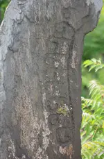 20190515_001126.webp