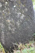 20190515_001033.webp