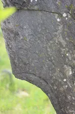 20190515_001011.webp