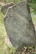 20190515_001409.webp