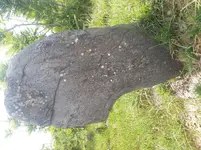 20190501_134058_001.webp