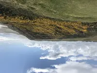 2F467223-8002-40F2-99FA-06D90D624F6F.webp