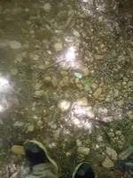 IMG_20190427_155036.webp