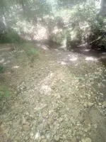 IMG_20190427_155356.webp