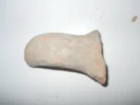 DSCN0974.webp
