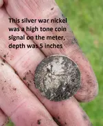 Finds 6-29-19 001.webp
