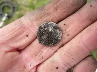 Finds 6-29-19 002.webp