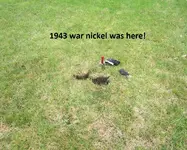 Finds 6-29-19 003.webp