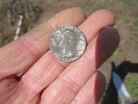 Finds 6-29-19 010.webp