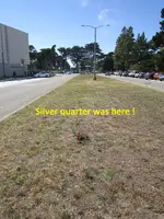 Finds 6-29-19 011.webp