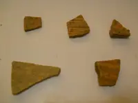 DSCN0976.webp