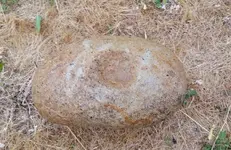 20190516_085435.webp