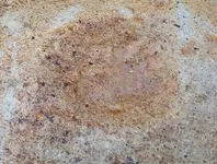 20190516_085431.webp