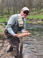 brown trout on a fly.jpg