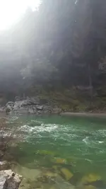 20190407_101740.webp