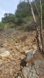 20190407_101731.webp