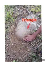 A304C3D3-6809-44D9-9BE0-8BC9CB8F9728.webp