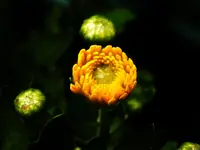 DSCN2693m_2400.webp