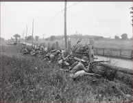 gettysburg marines 1922.webp