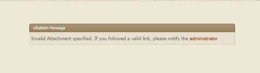 invalid attachment.webp