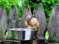 K1600_DSCN4677.webp